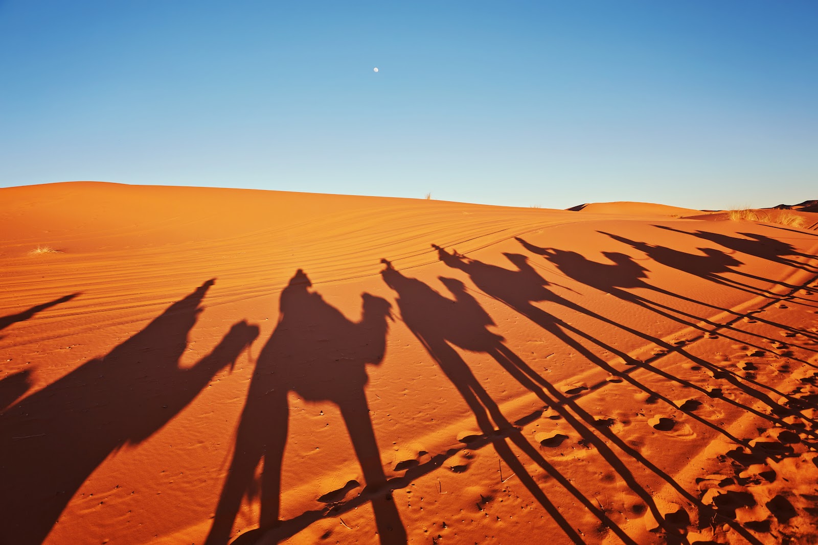 Voyage organisé-Séjour-Séjour All Inclusive Hotel Seabel Rym Beach 4* Djerba-Pour vos voyages de récompenses 